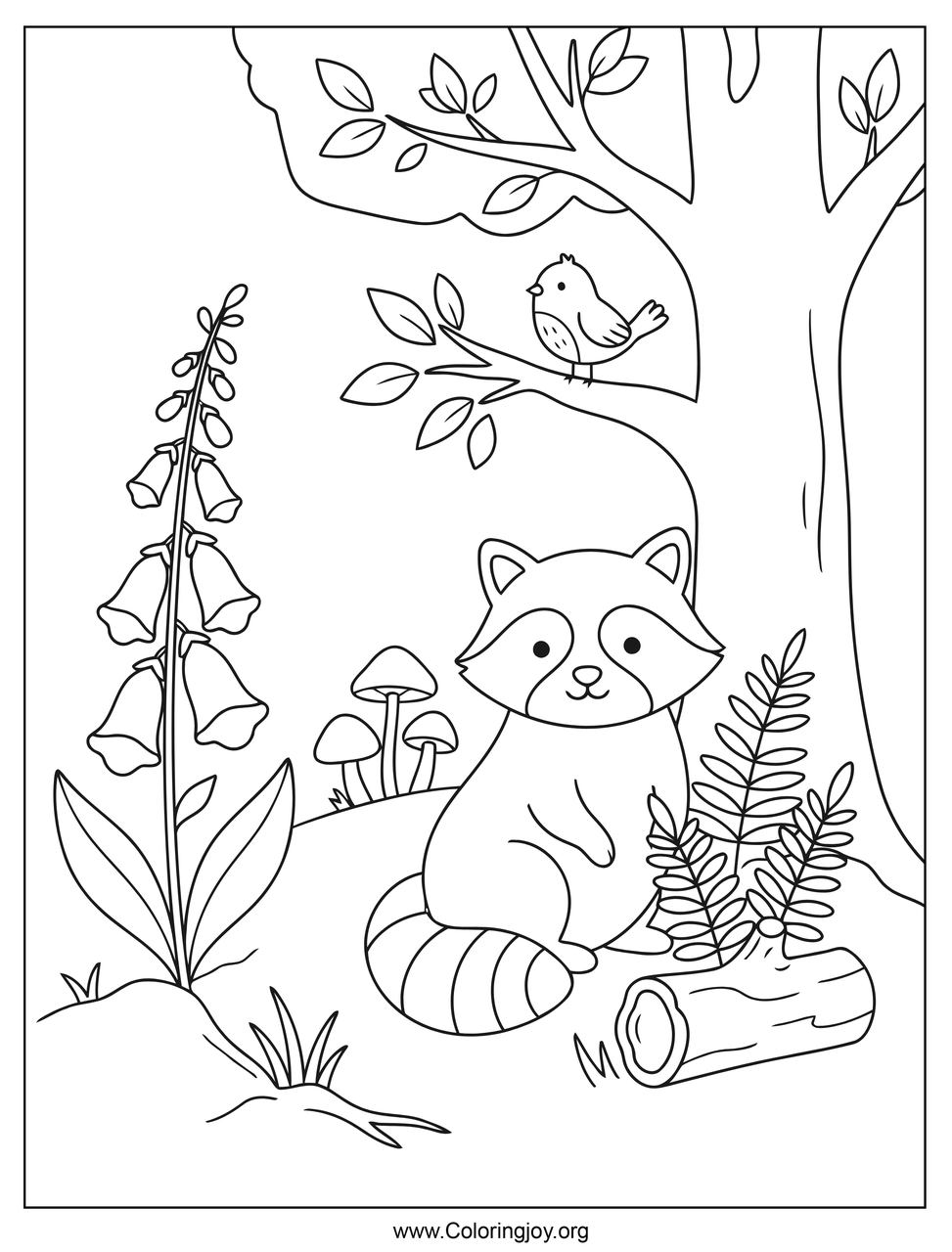 Woodland Raccoon Coloring Page