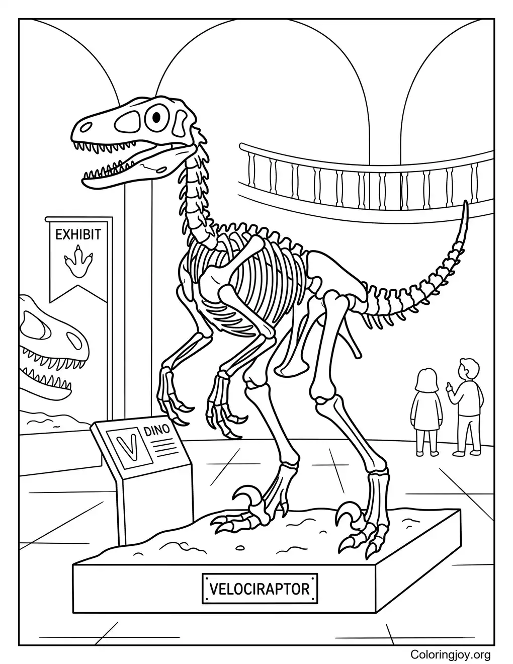 Velociraptor Skeleton Museum Coloring Page