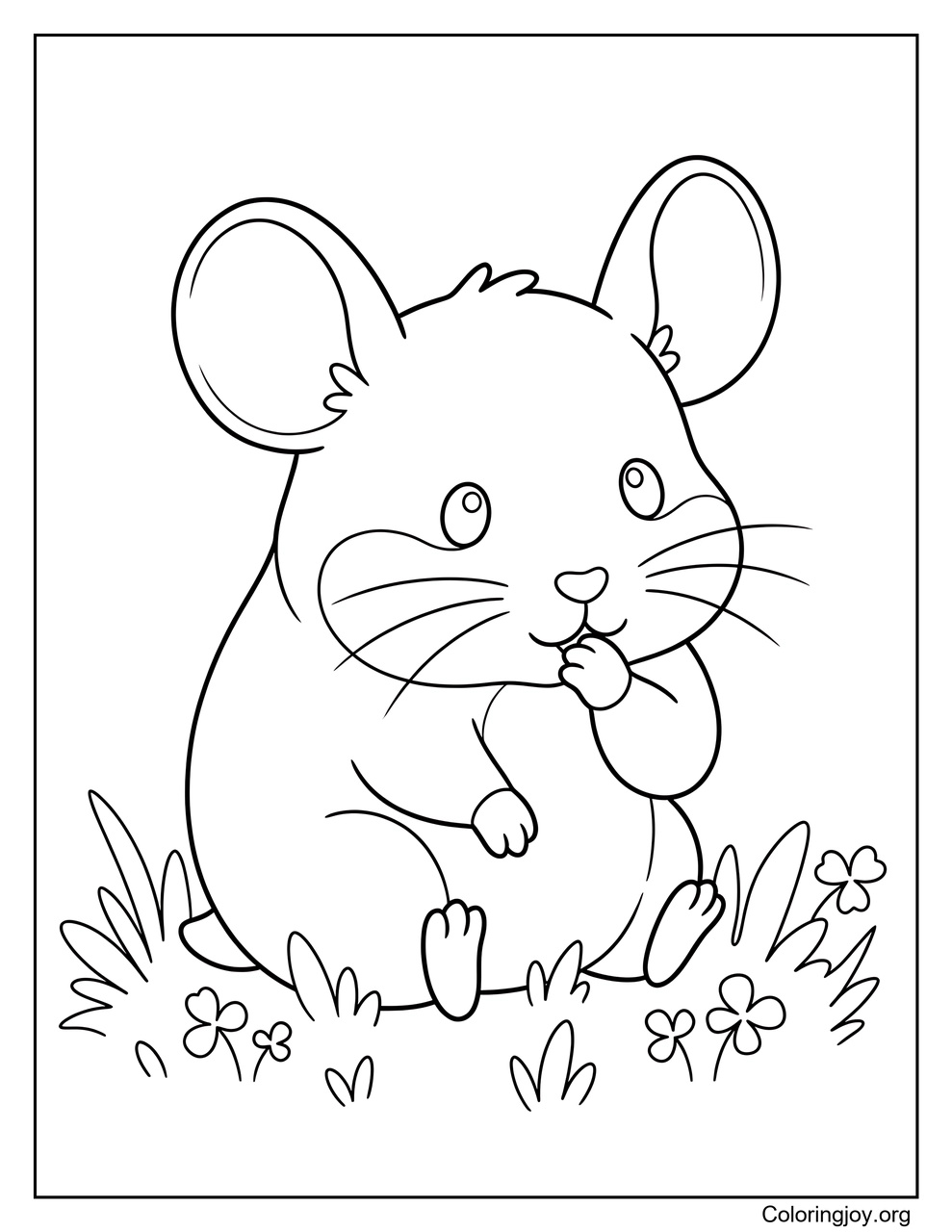 A Baby Hamster