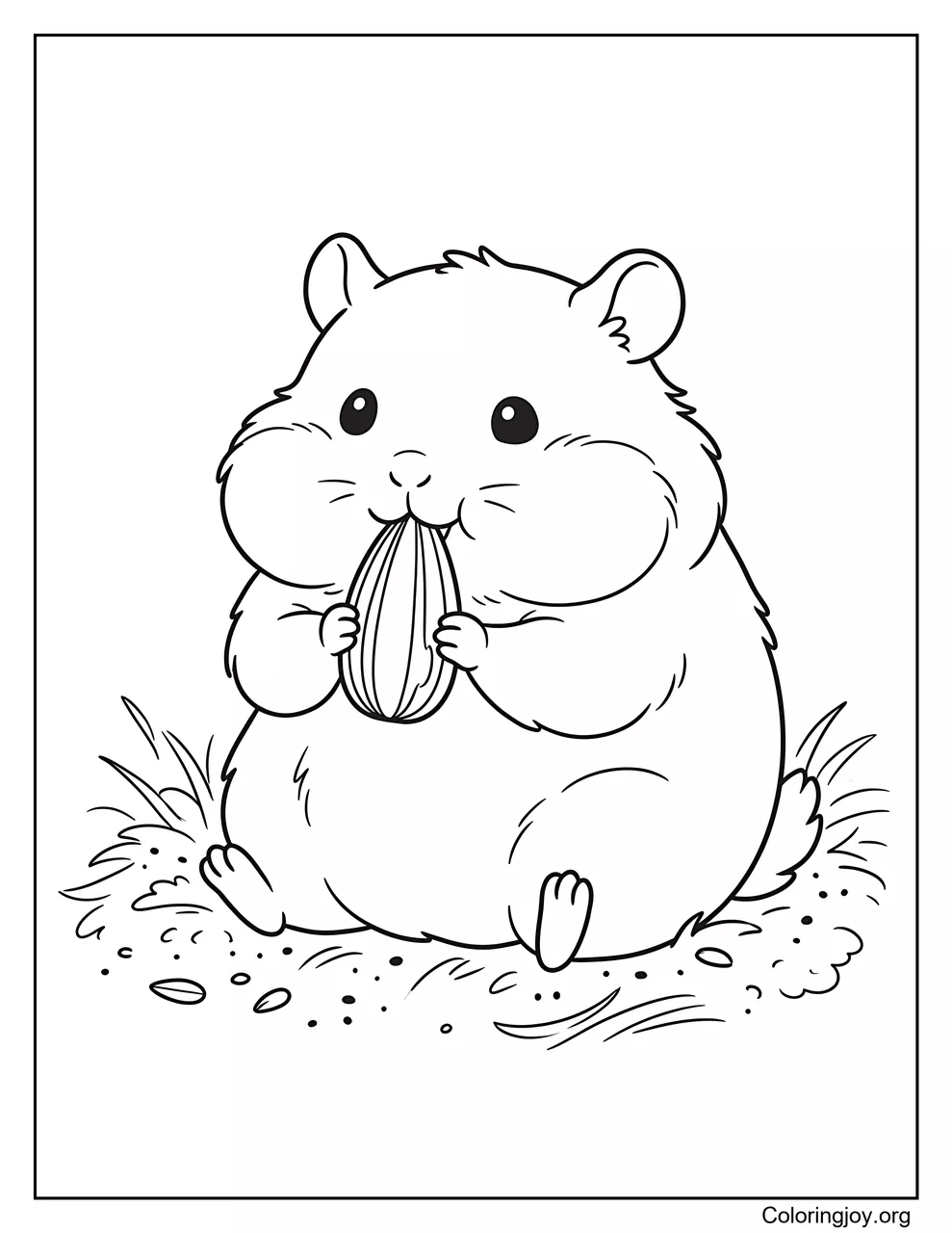 Hamster potelé