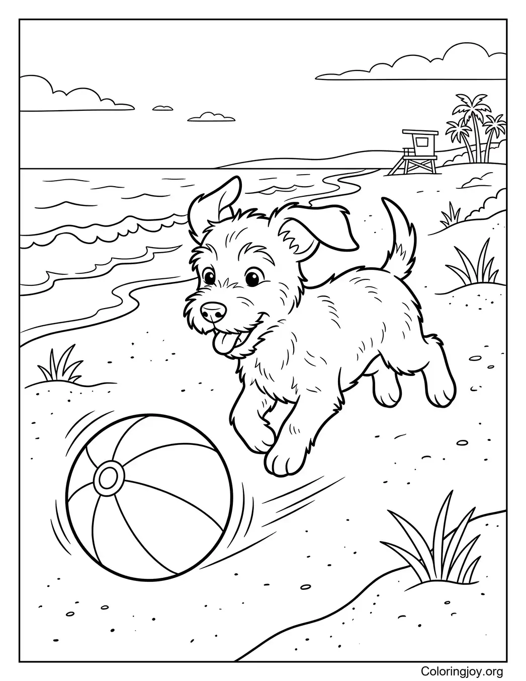 Hond achtervolgt strandbal