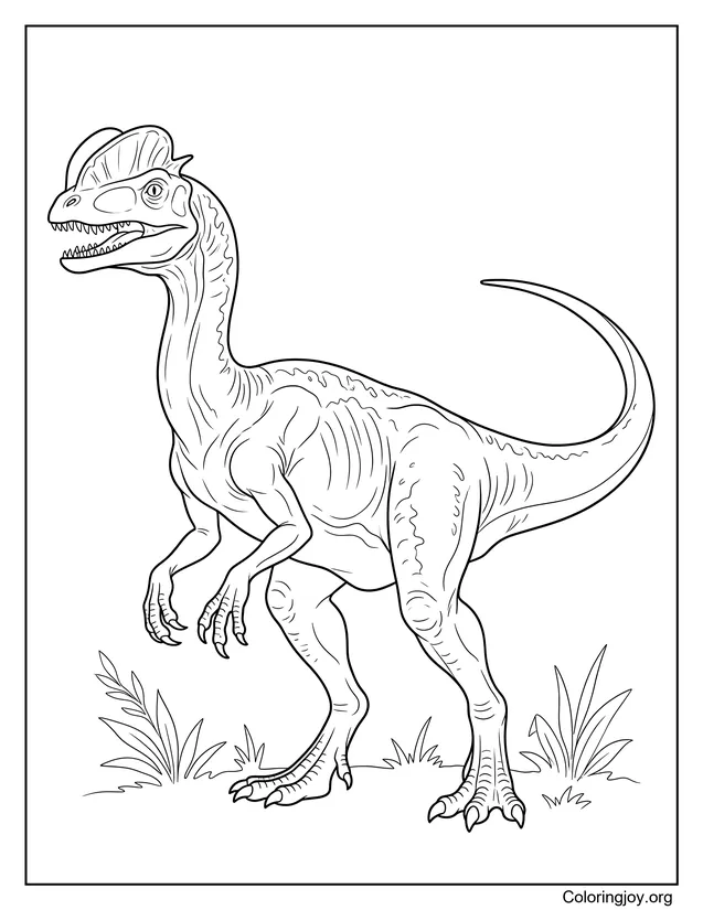 Anatomía precisa del dilofosaurio