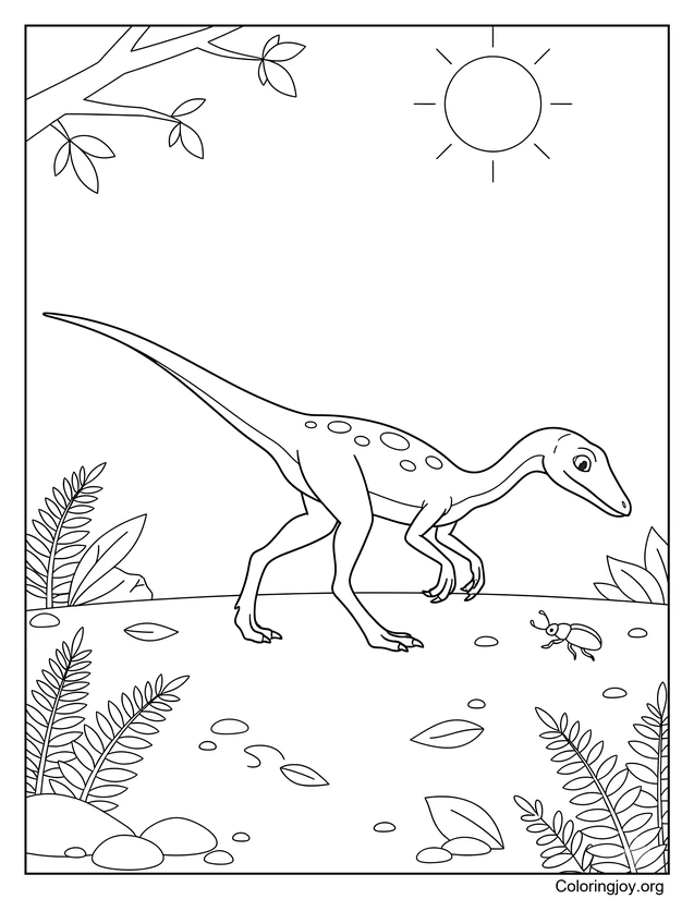 Compsognathus Paseo Matutino Página Para Colorear