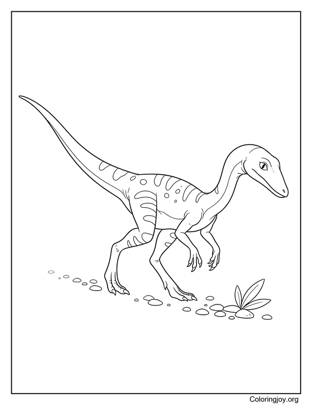 Pequeño Compsognathus explorando página para colorear