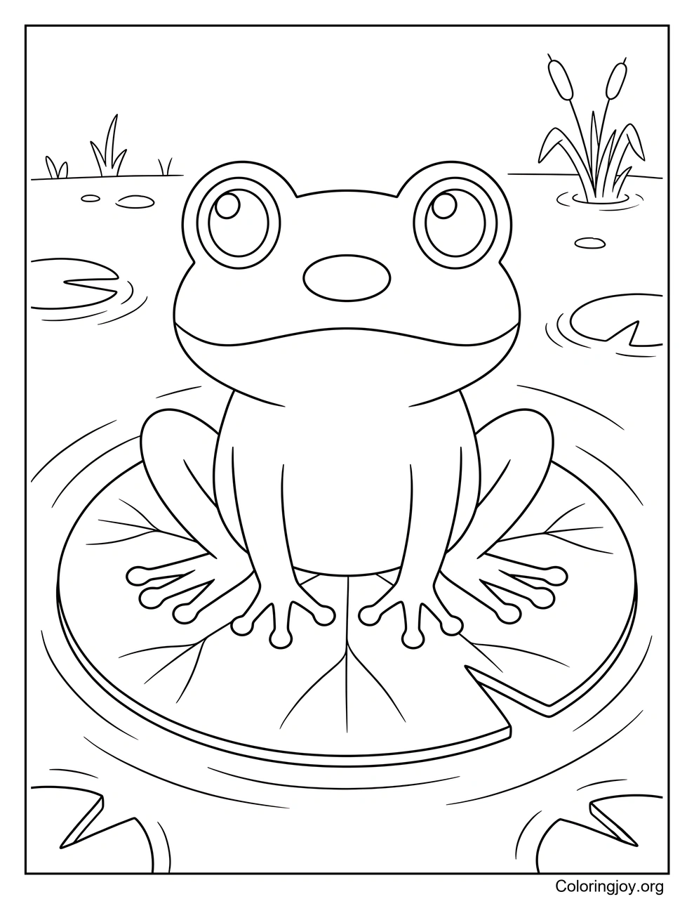 Frosch auf Seerosenblatt