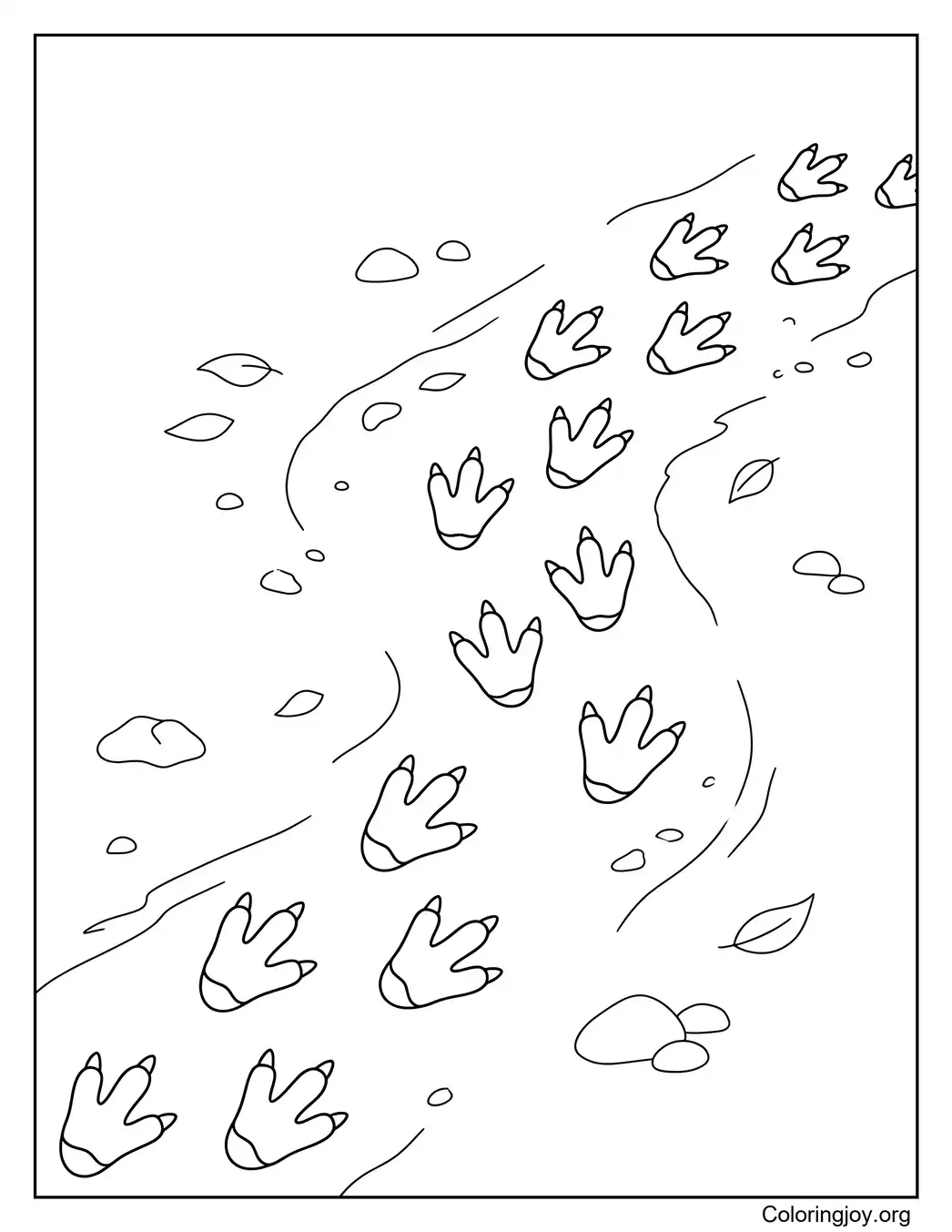 Iguanodon Footprints