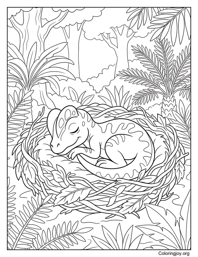 Sleeping Baby Dilophosaurus