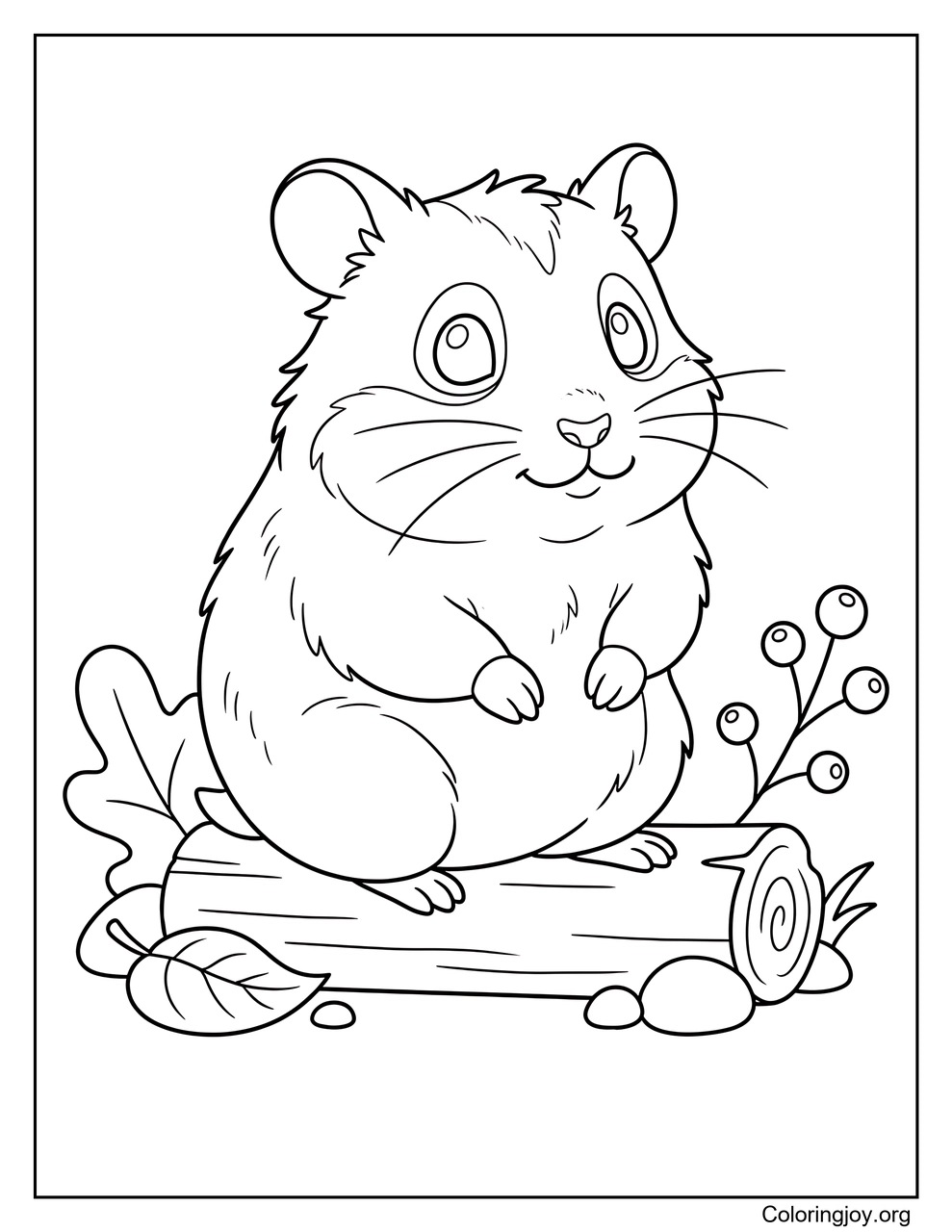 Hamster syrien