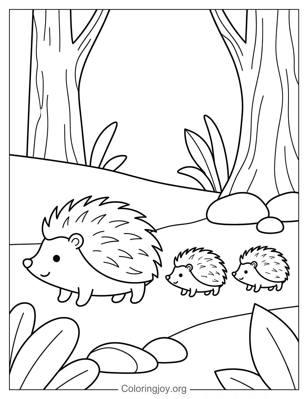 Hedgehog Family
