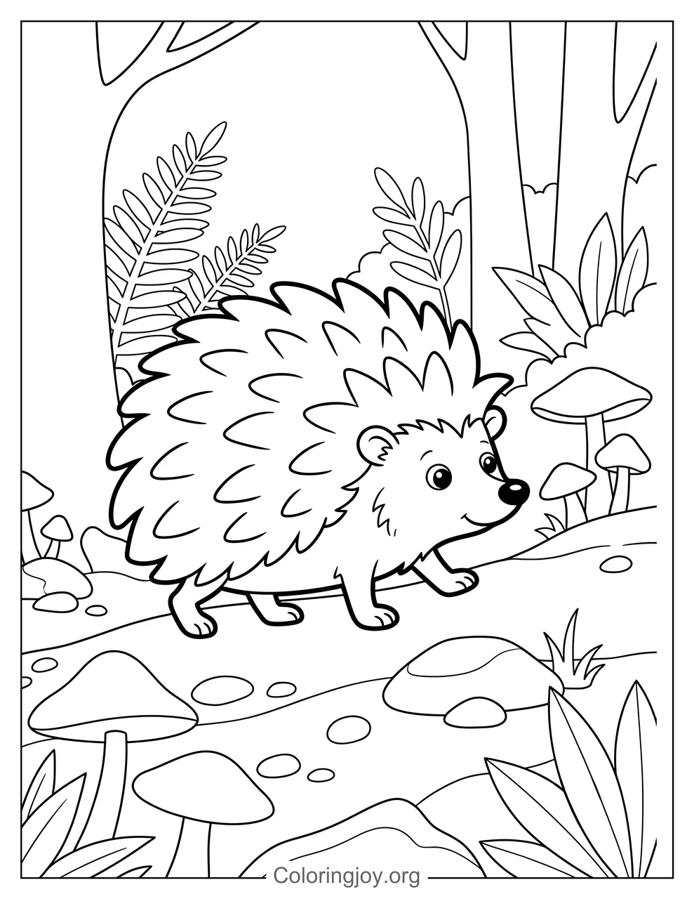 Hedgehog in a Forest