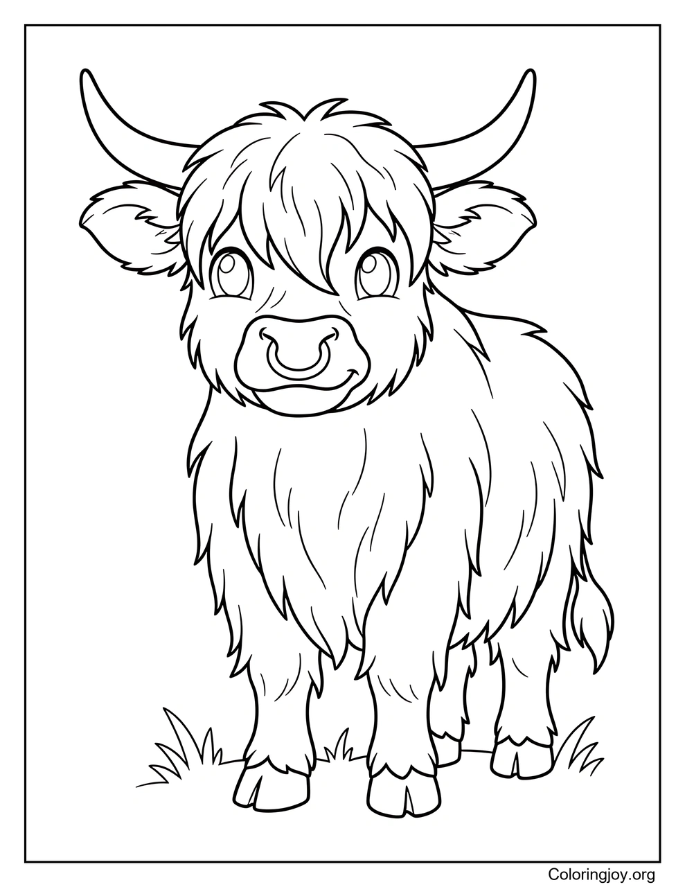 Highland Cow
