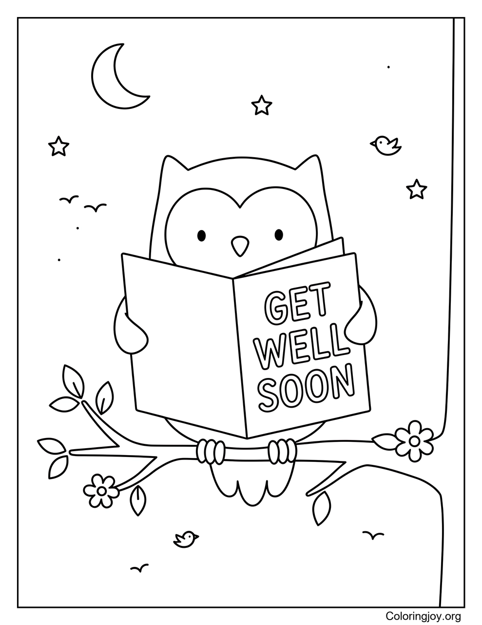 Owl Holding a Get Well Soon Card