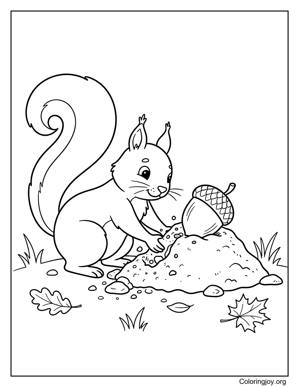 Squirrel Burying an Acorn