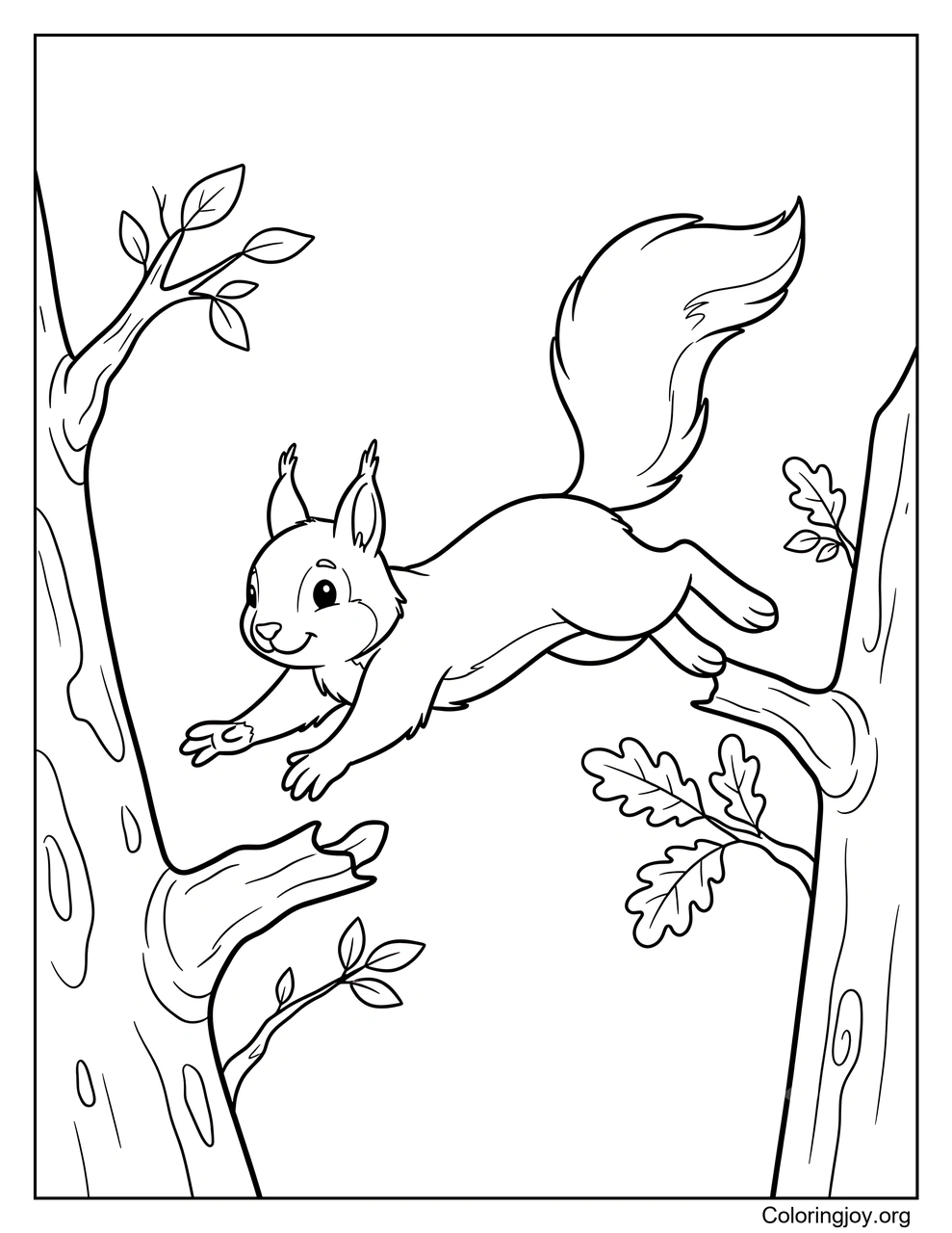 Squirrel Leaping Between Tree Branches