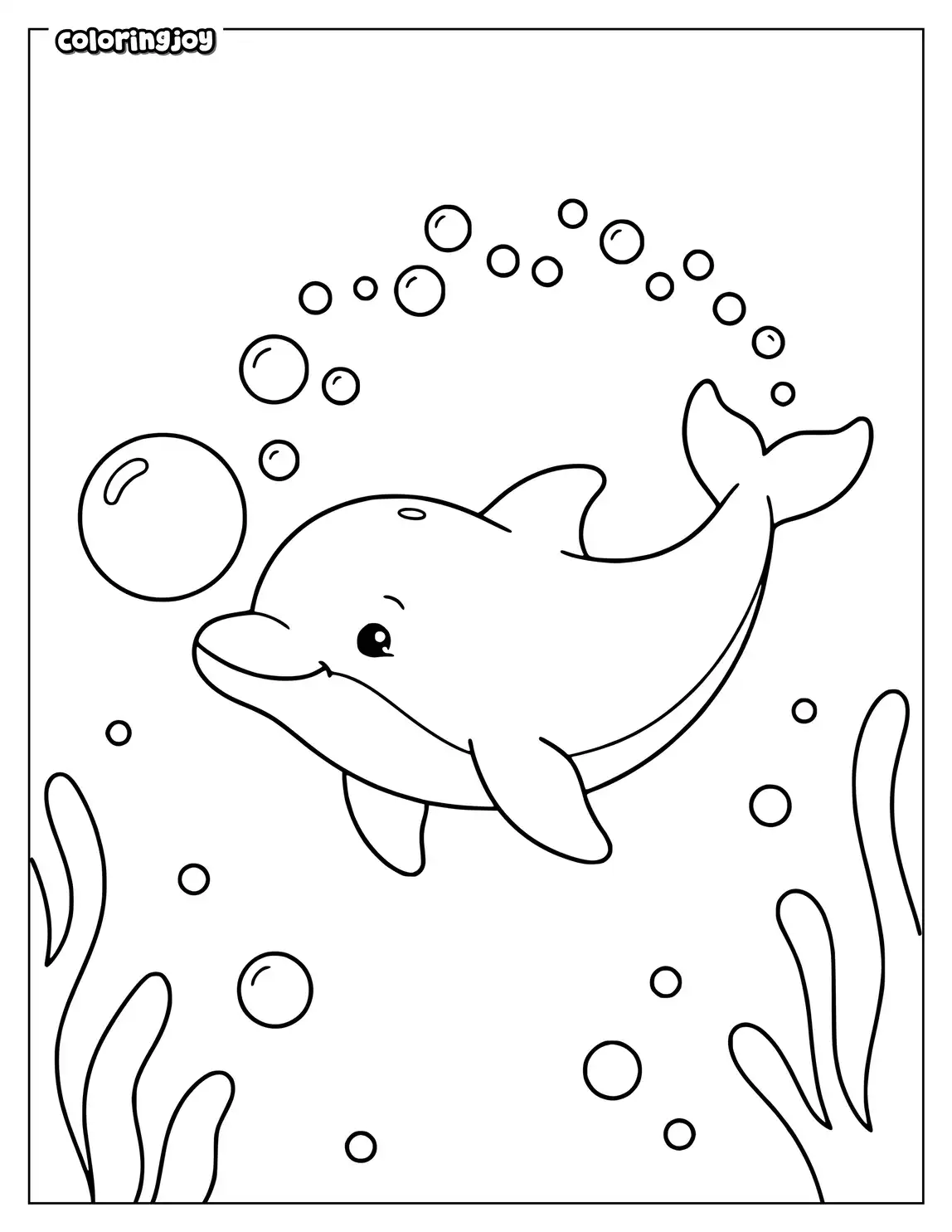 A baby dolphin chases round bubbles with its nose underwater.