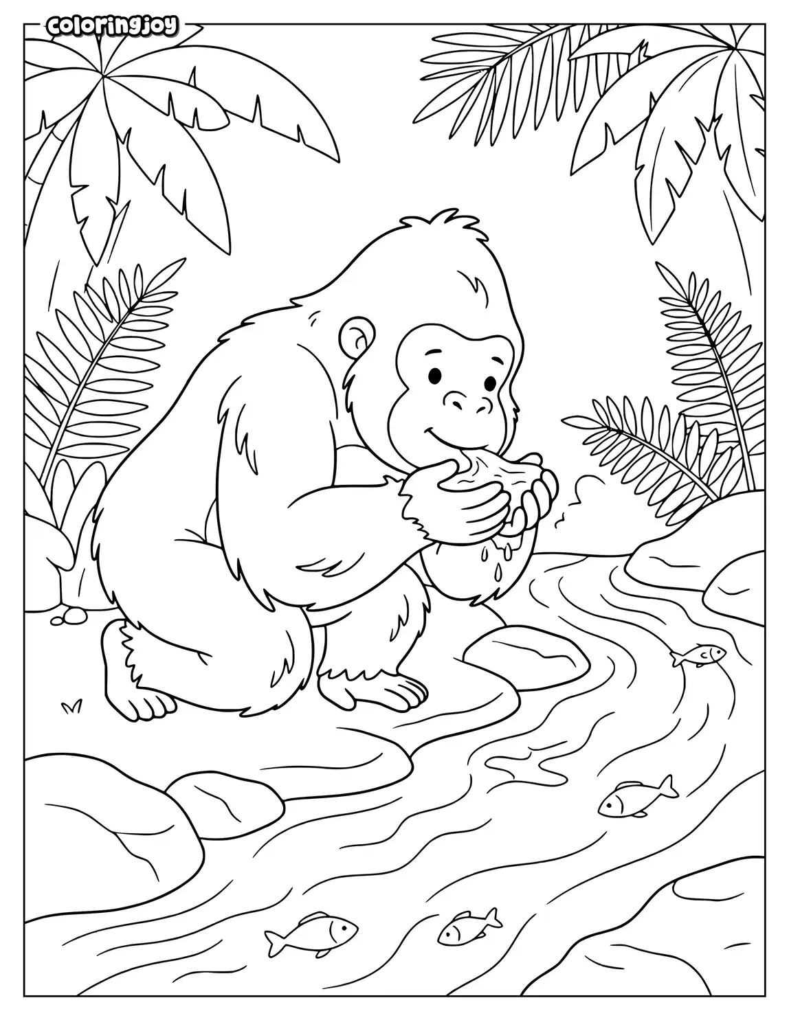 Gorilla drinking beside small stream with rocks and jungle leaves.