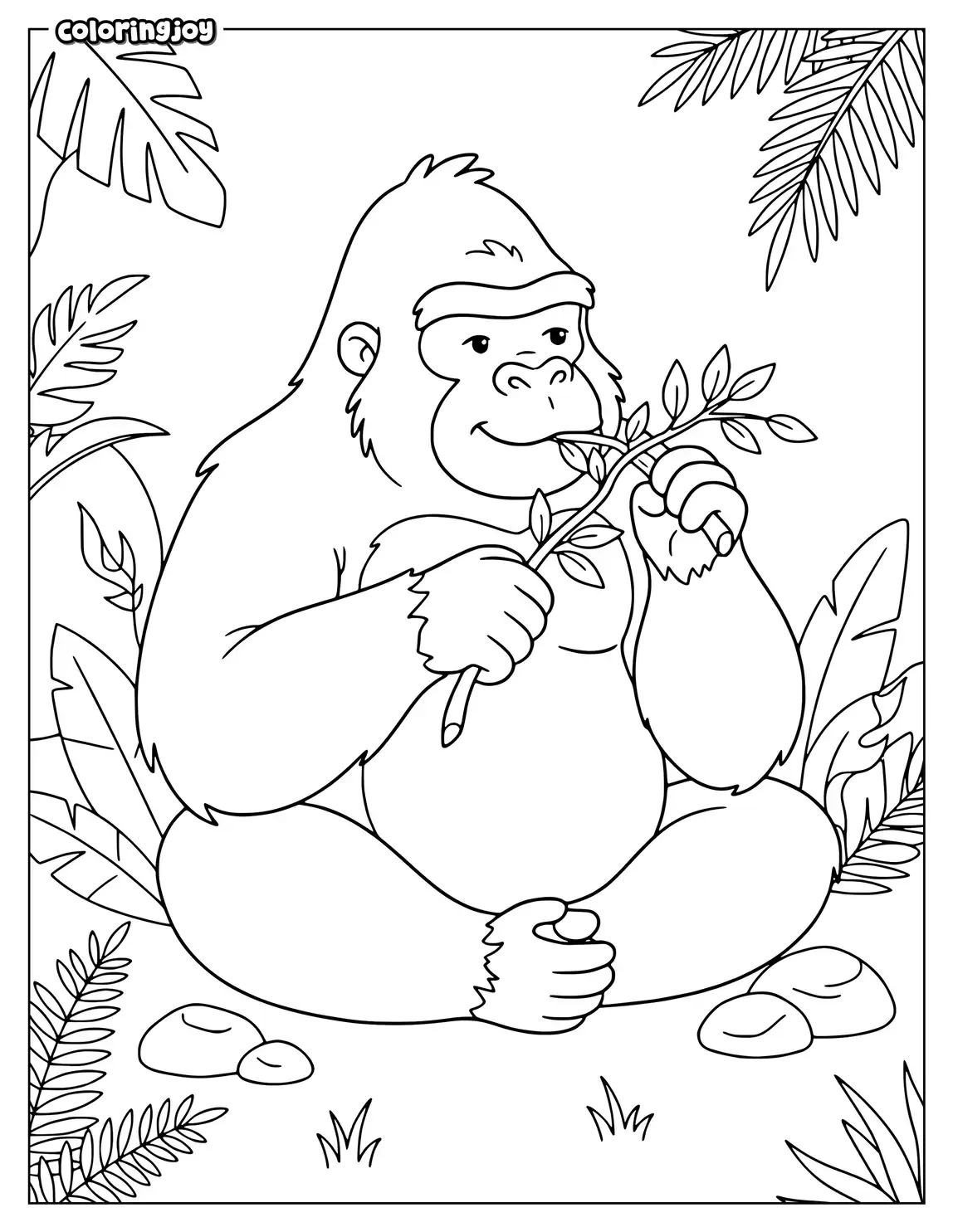 Gorilla nibbling jungle plants beside large leaves and small rocks.